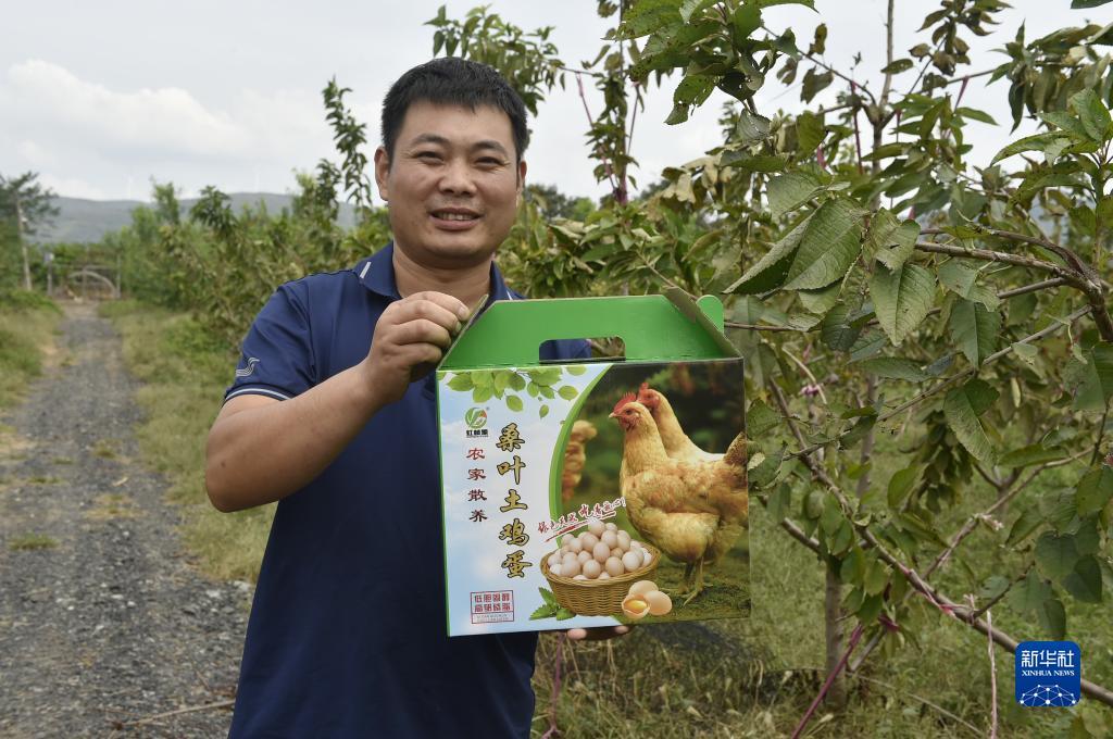 斗牛网页游戏